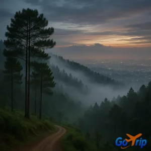 Pemandangan dari Bukit Moko saat senja, memperlihatkan kabut di tengah hutan pinus dan citylight kota Bandung di kejauhan.